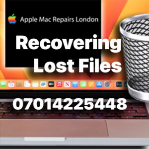 recovering-lost-files-north-london